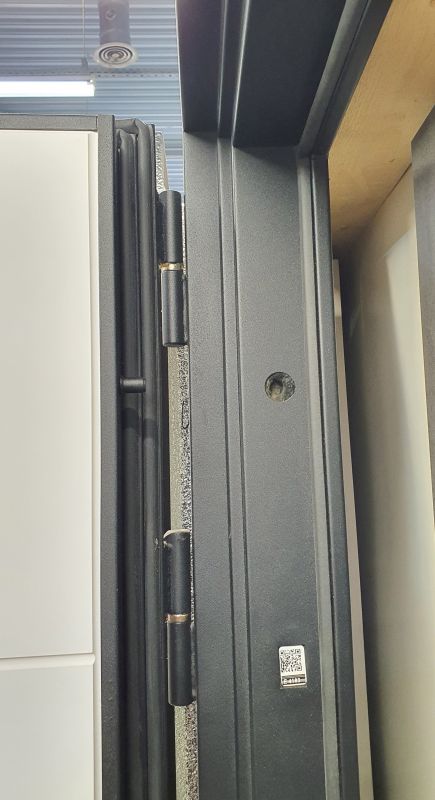 Входная дверь Бункер BN-02 - ФЛ-609 Белый софт