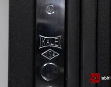 Обзор входных дверей Labirint линейки Лабиринт Storm